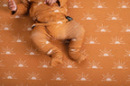 Front Opening Ready Set Romper® in Sunny